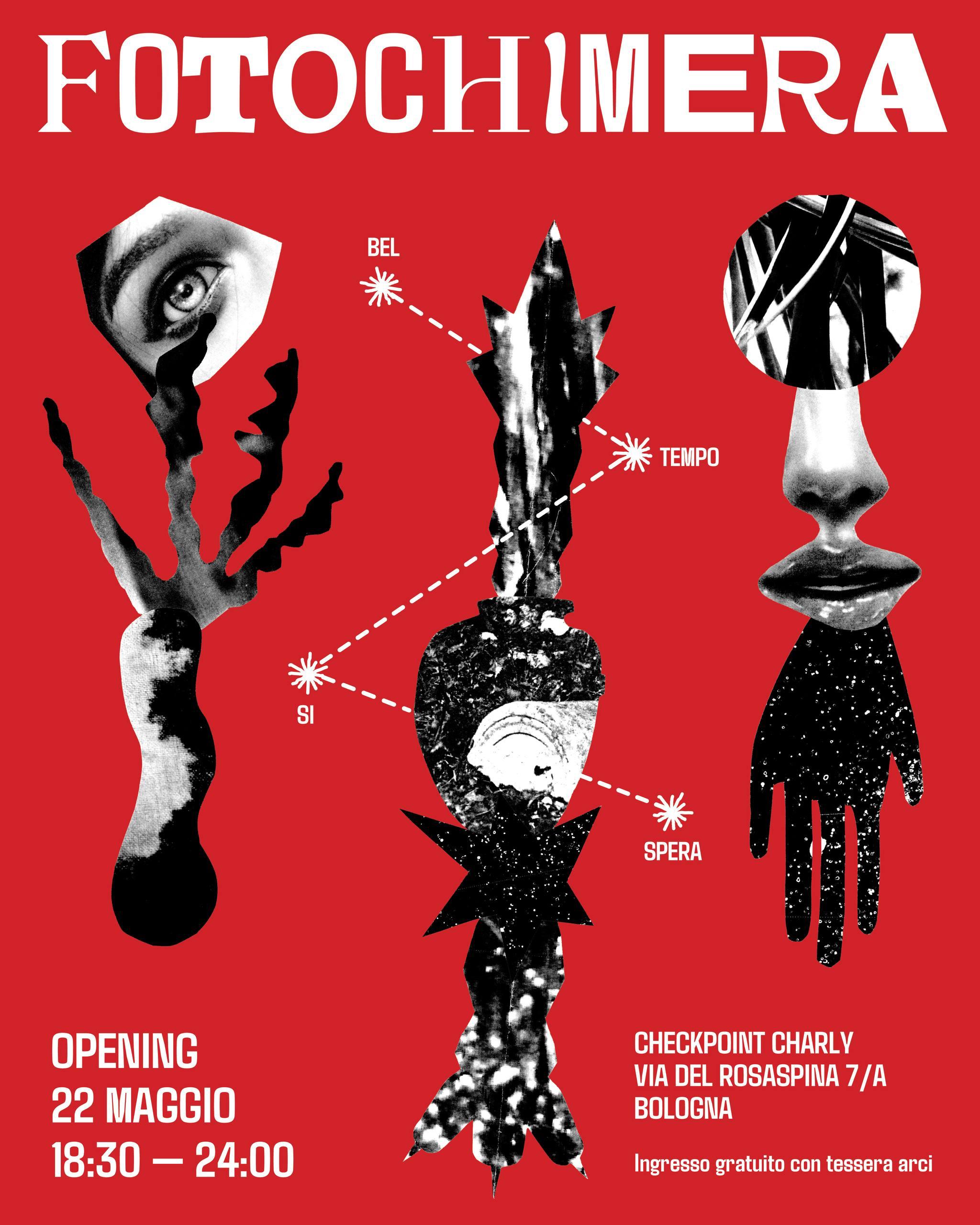 FOTOCHIMERA